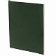 Ежедневник Flat Light, недатированный, зеленый с нанесением логотипа